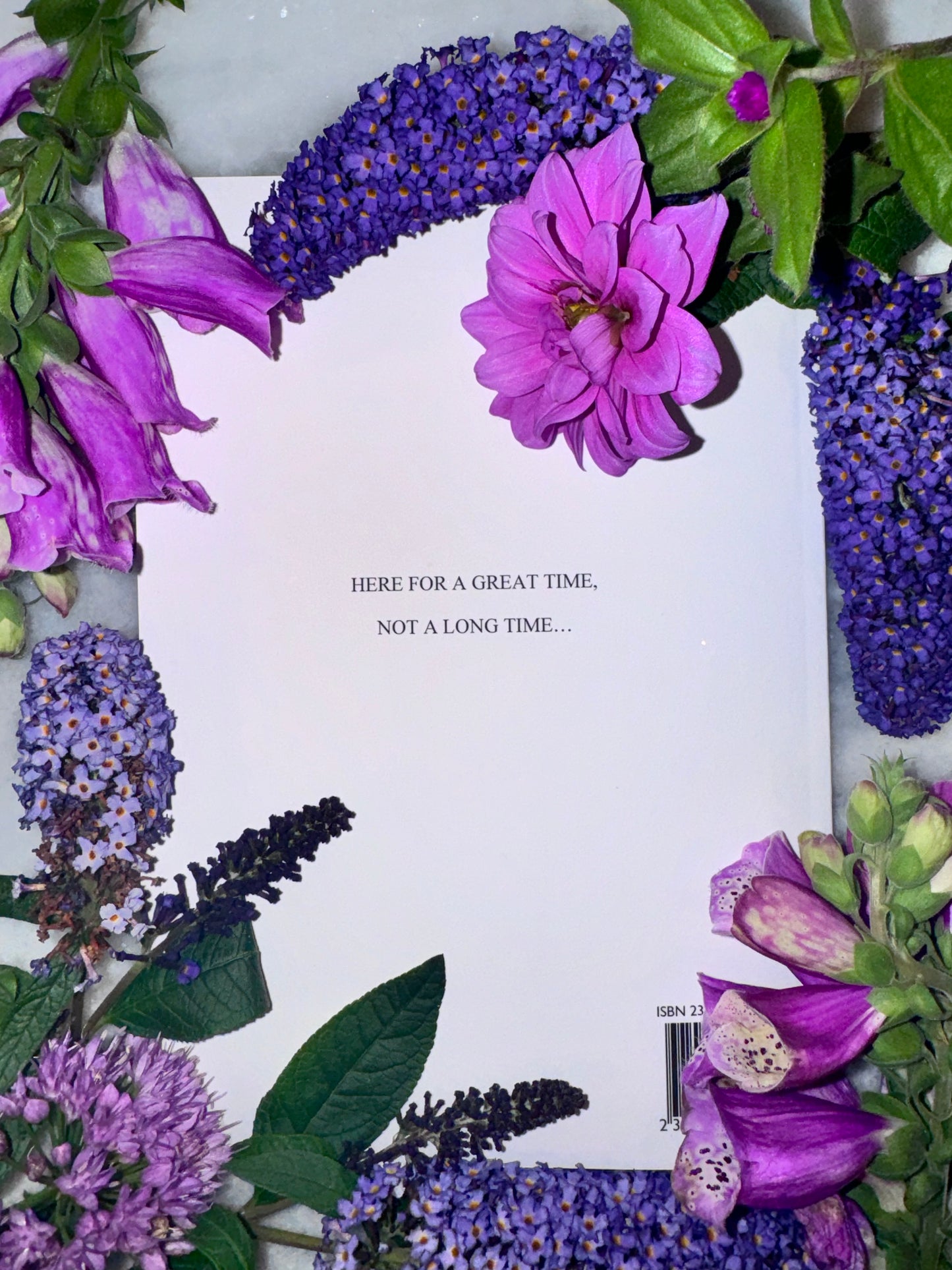 Let's Kall Her Savannah Manuscript 1, Weeks 1-4 by Kayla Ann Soft Cover Manuscript